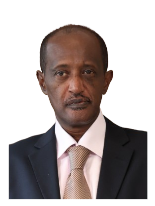 Mr. Yemane Weldegebriel HAILEMICHAEL